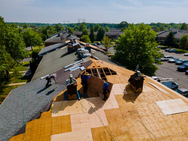 Trusted Storm Damage Roof Repair service in Glenwood, NC - Brentwood Metal Roofing